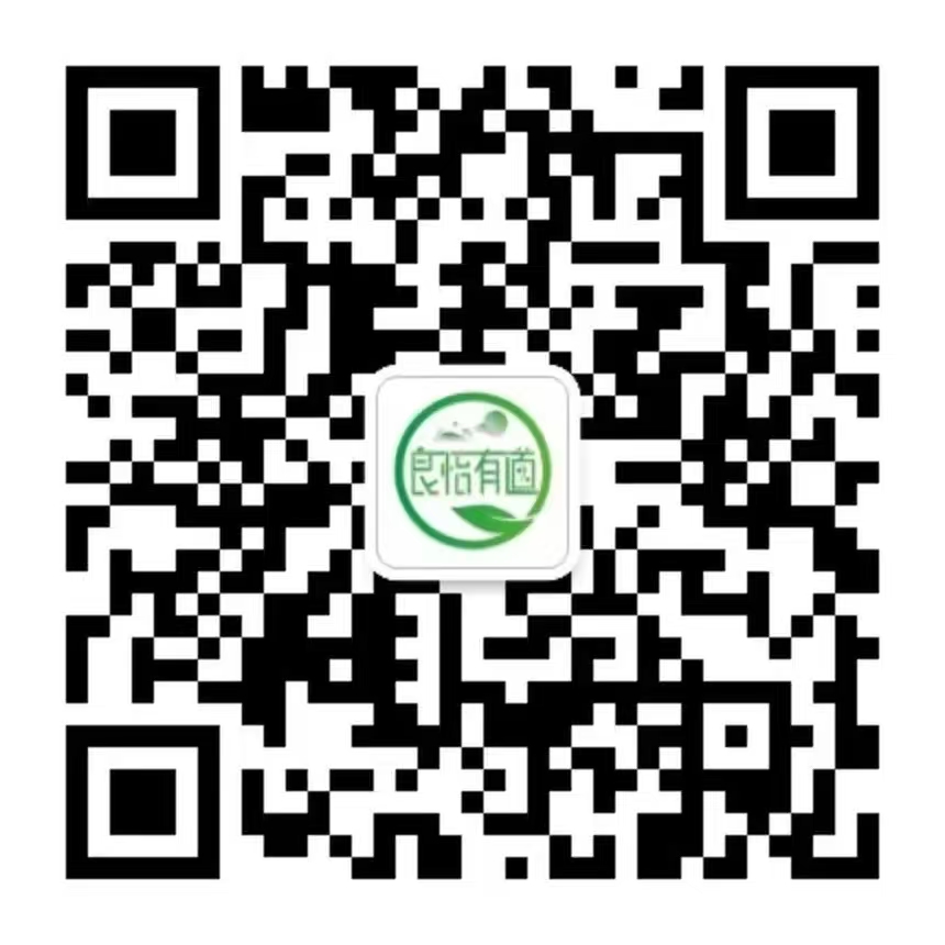 郑州乐道医疗科技有限公司